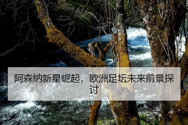 阿森纳新星崛起，欧洲足坛未来前景探讨